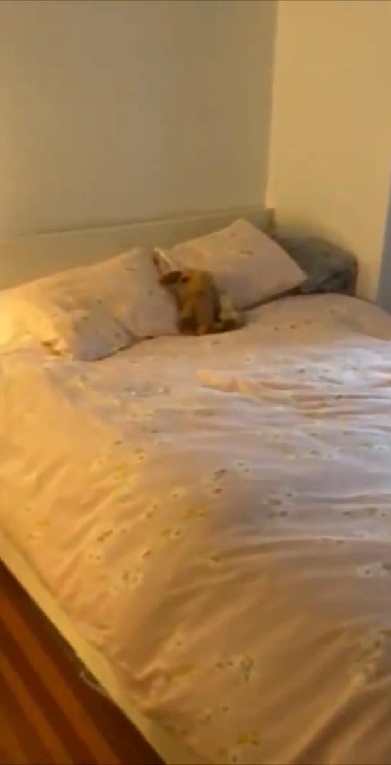 Building Photo - 65 Hemenway St