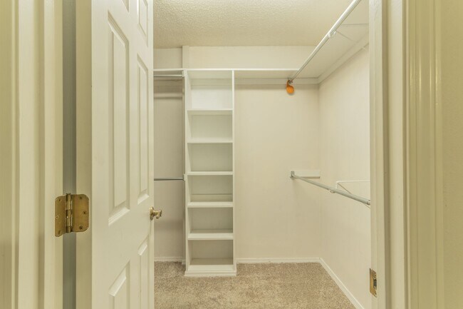 Building Photo - 16 Balenciaga Way