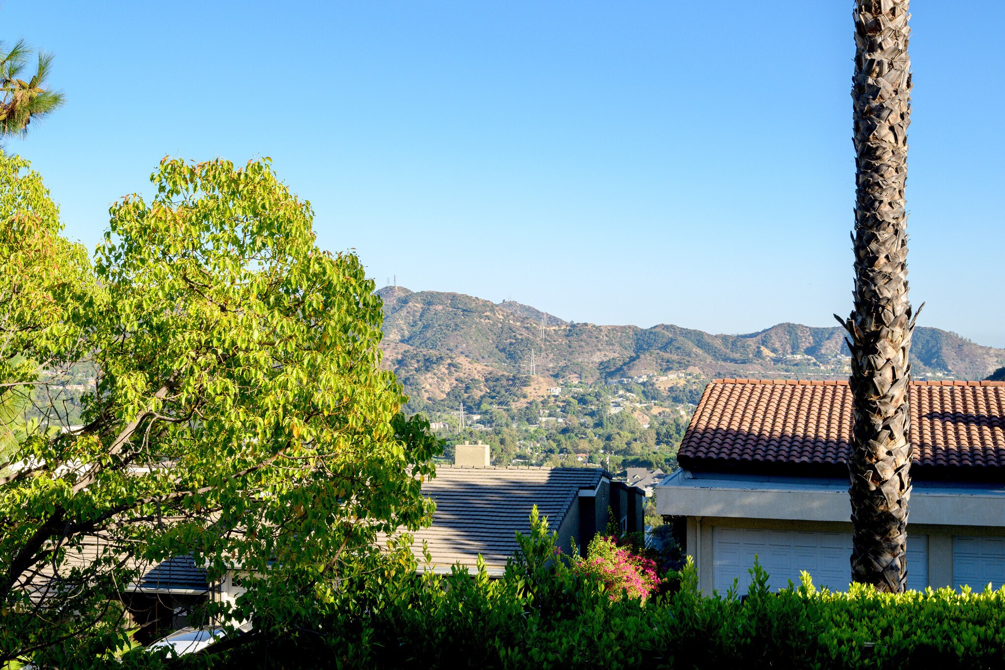 Building Photo - 3331 Oakmont View Dr