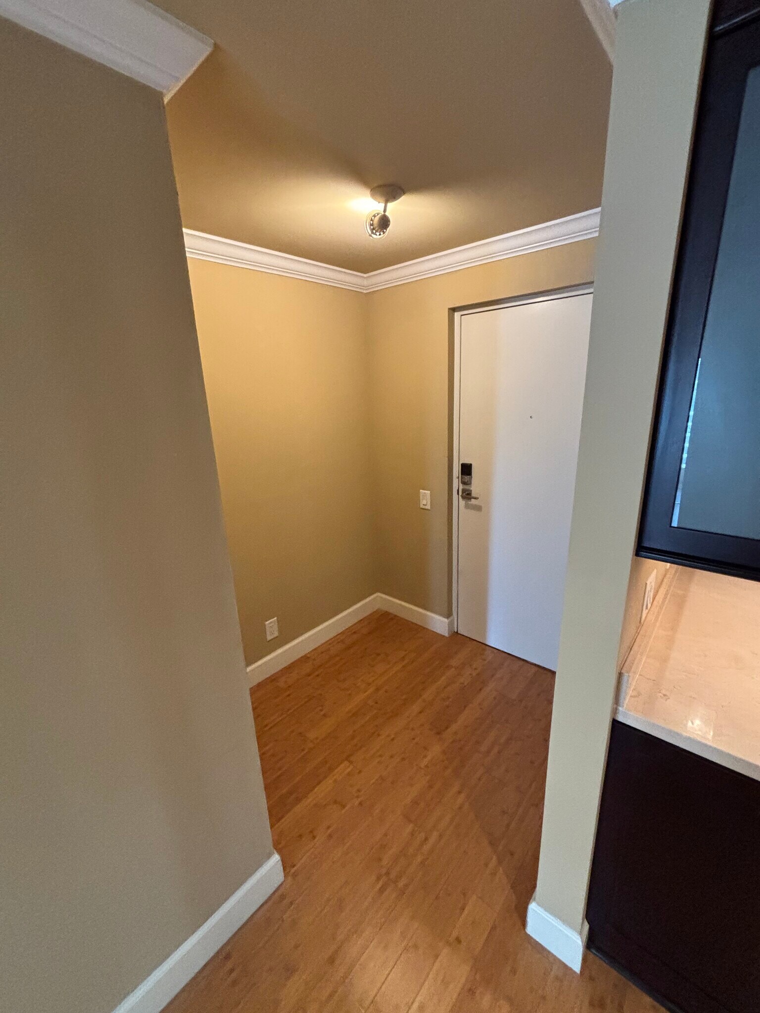 Other side of front door - 4950 Bayshore Blvd