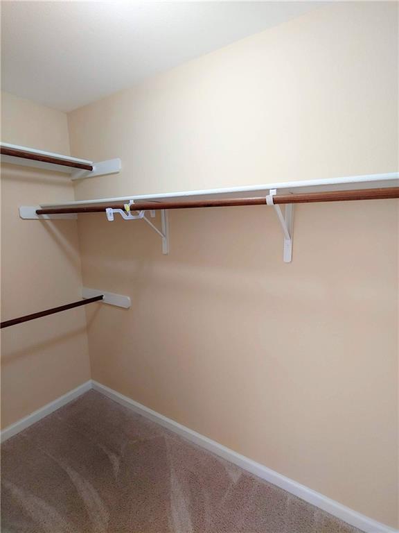 Building Photo - 13903 Randalstone Dr