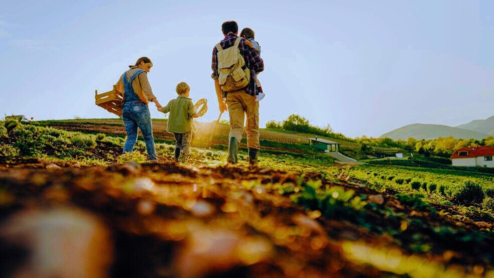 Building Photo - 7326 Valley Grove Ln