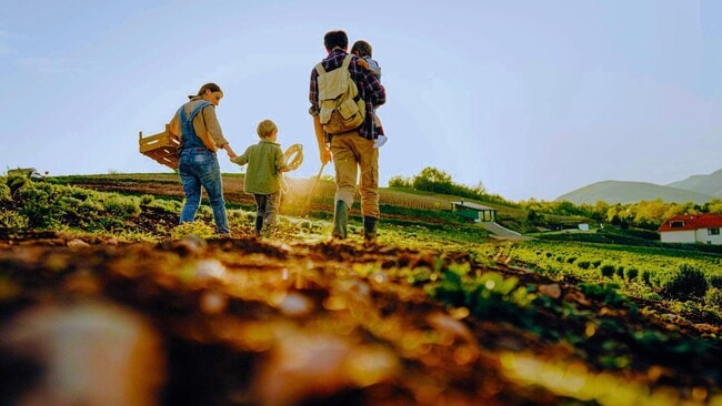 Building Photo - 2401 Legg Crk Ln