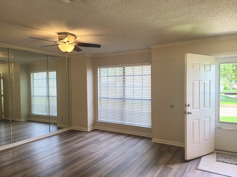 To right of the front door is the spacious living room with mirrored wall enhancing natural light - 12439 Coursey Blvd