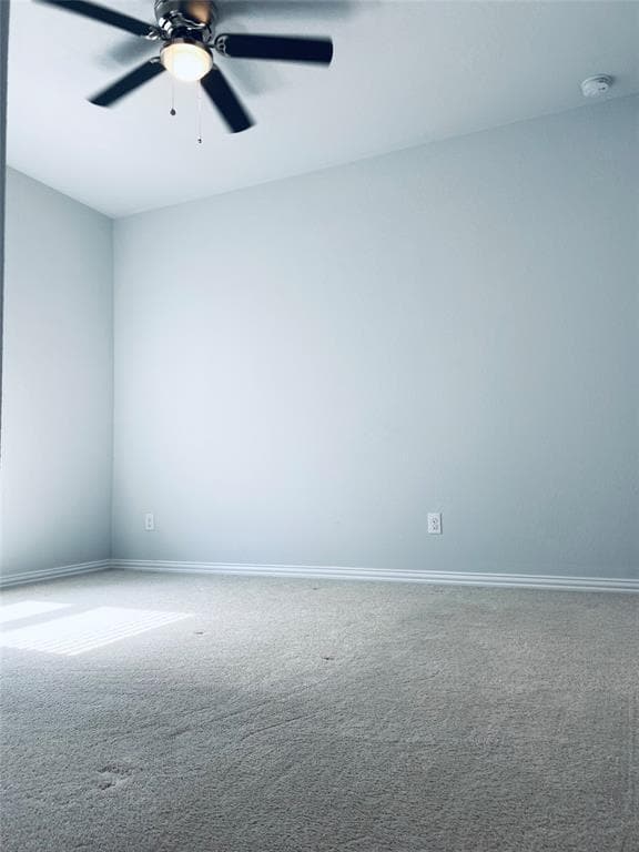 Building Photo - 1009 Sundrops St