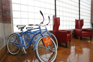 Interior Photo - Ovaltine Court