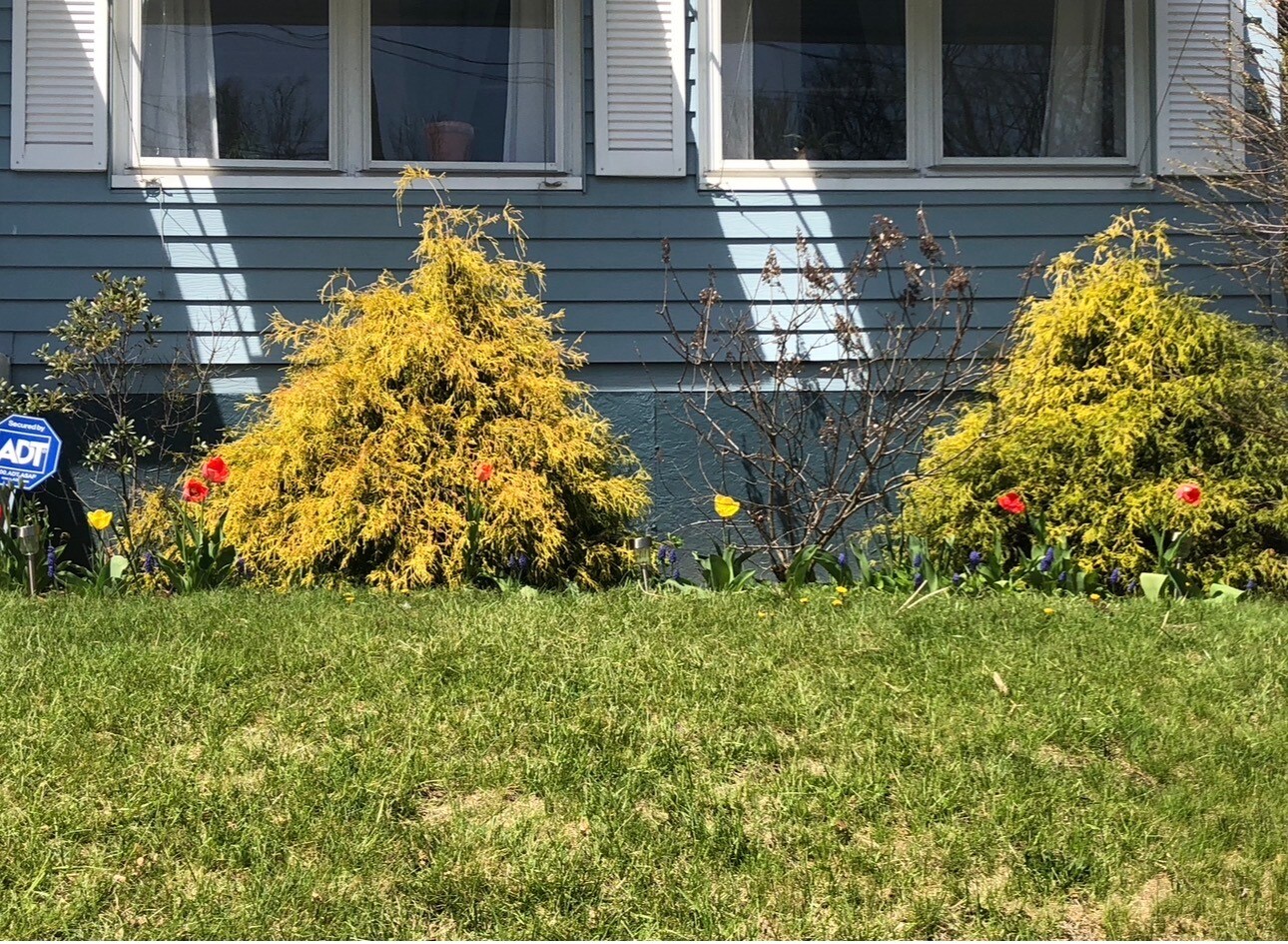 Building Photo - 109 Ridgewood Ave