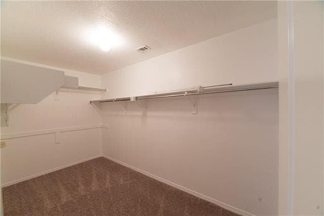 Building Photo - 3813 Braxton Ln