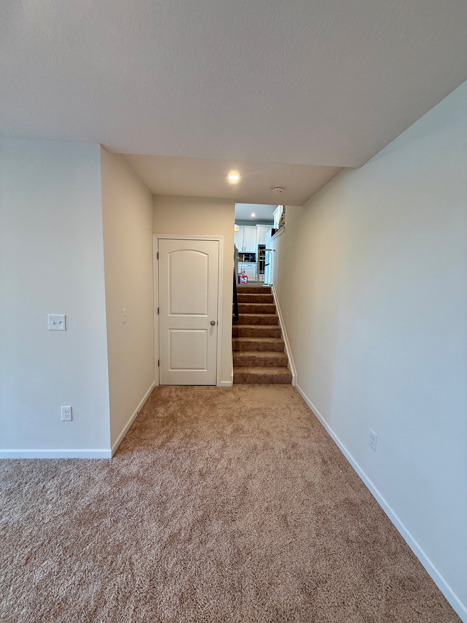 Finished Lower Level - 2062 Broccoli Dr
