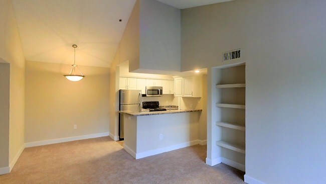 Allister Place Tampa Fl Apartment Finder