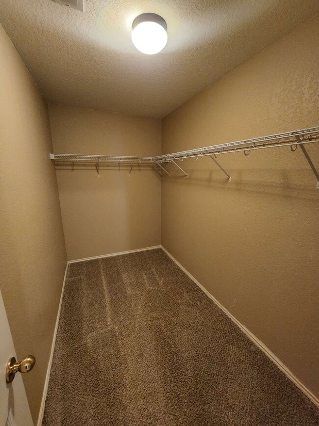 Building Photo - Spacious 4 Bedroom Home in Prime Medical Center Location