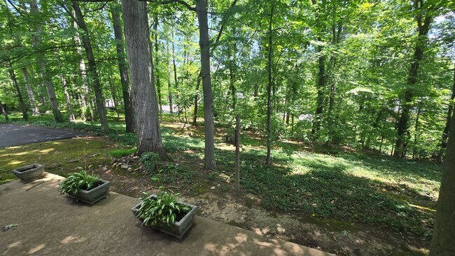 Building Photo - 4 Bed/2.5 Bath Brick Home - Kingsport TN
