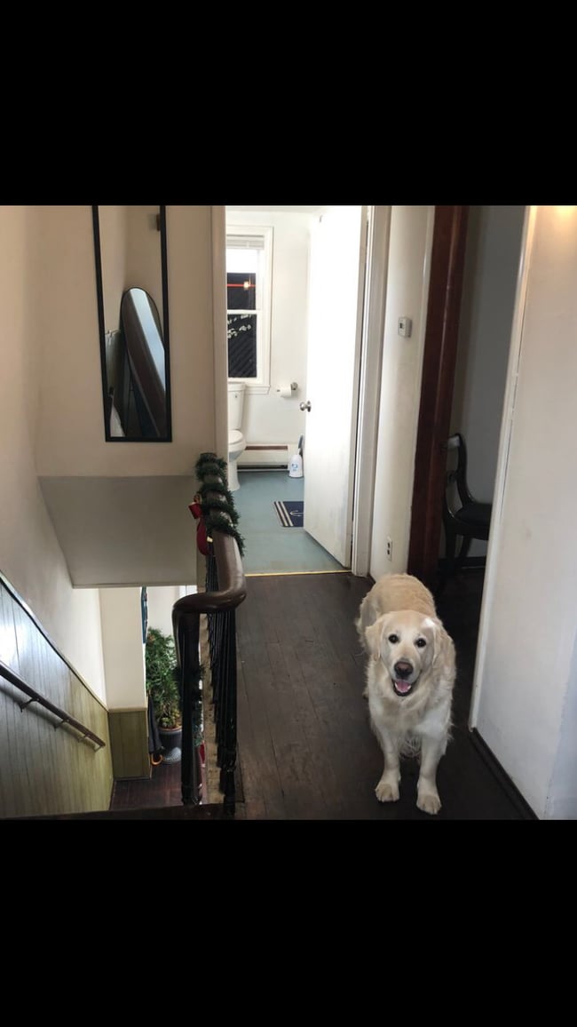 Building Photo - 9 Lincoln St