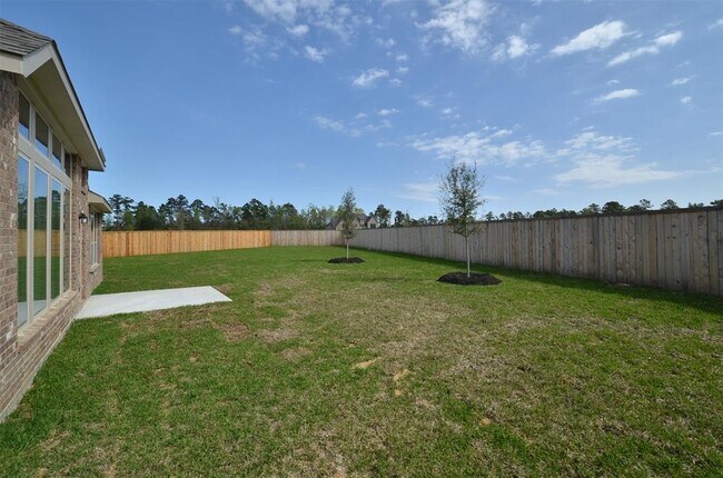 Building Photo - 4 Florentino Vine Pl