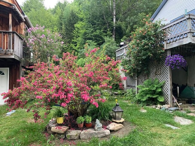Building Photo - Charming 3BR House in Granville