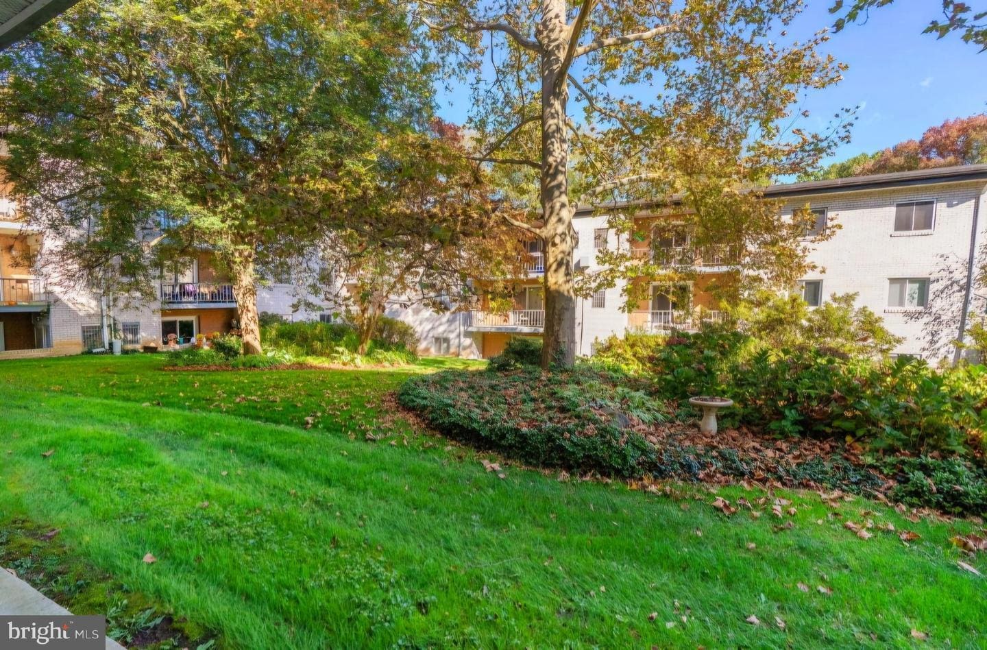 Courtyard - 7 Rockford Rd