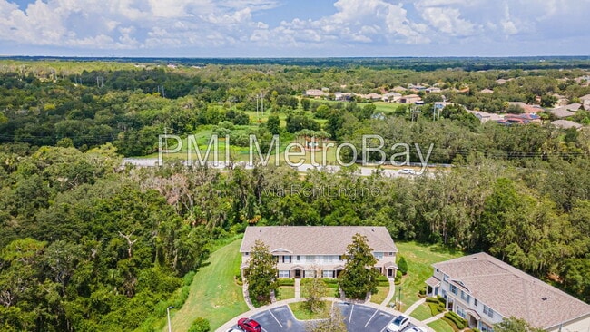 Building Photo - 15706 Fishhawk Falls Dr