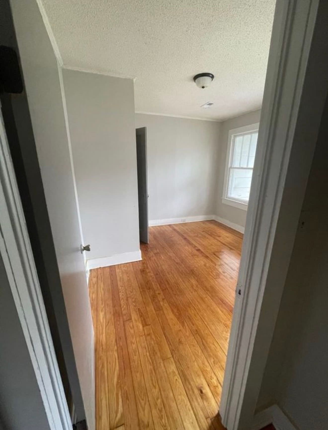 Building Photo - 1009 Mamie Street