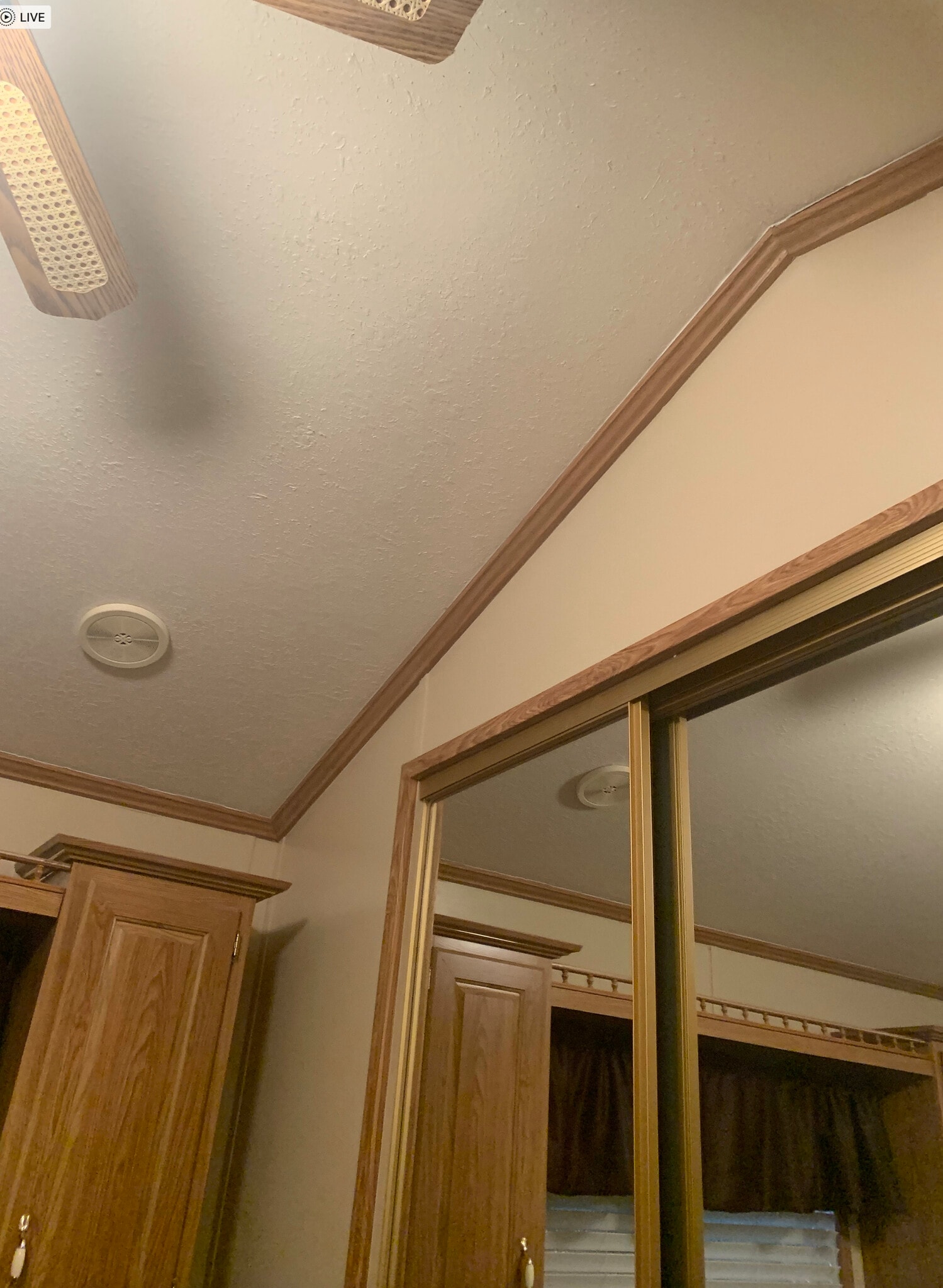 High ceilings in bedroom feel nice and a fan - 11489 S Clara Anita Dr
