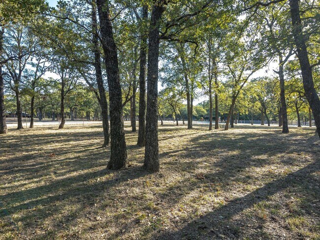 Building Photo - Gorgeous 3 bed room 2 bath in Decatur