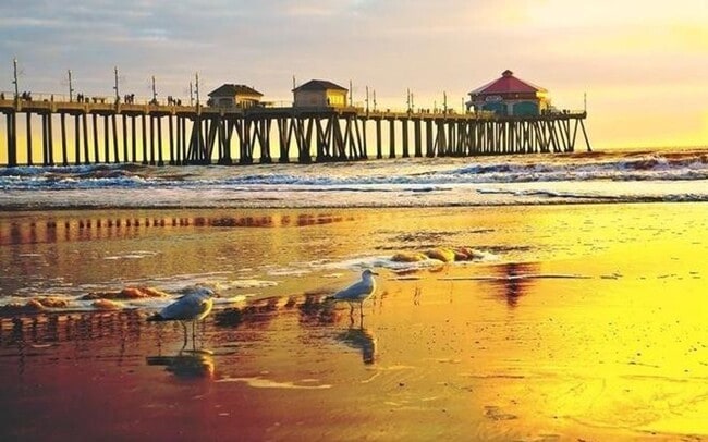 Building Photo - Beautifully Renovated Apartment Steps to the Beach - Washer/Dryer & Refrigerator included!