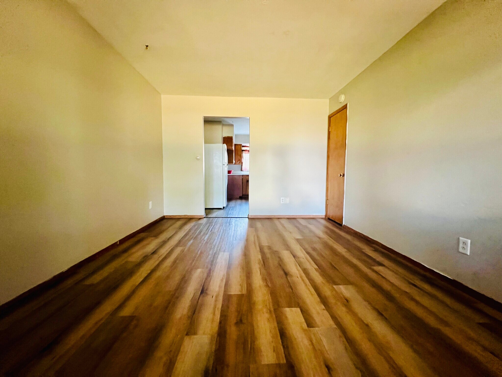 Living room - 238 Palmer Dr