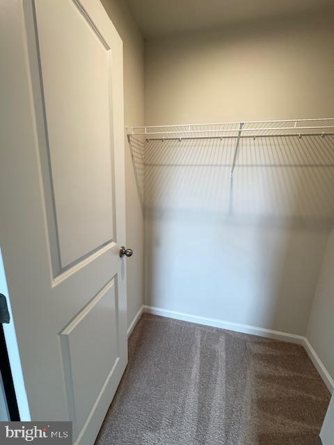 Building Photo - 488 Switchgrass Ct