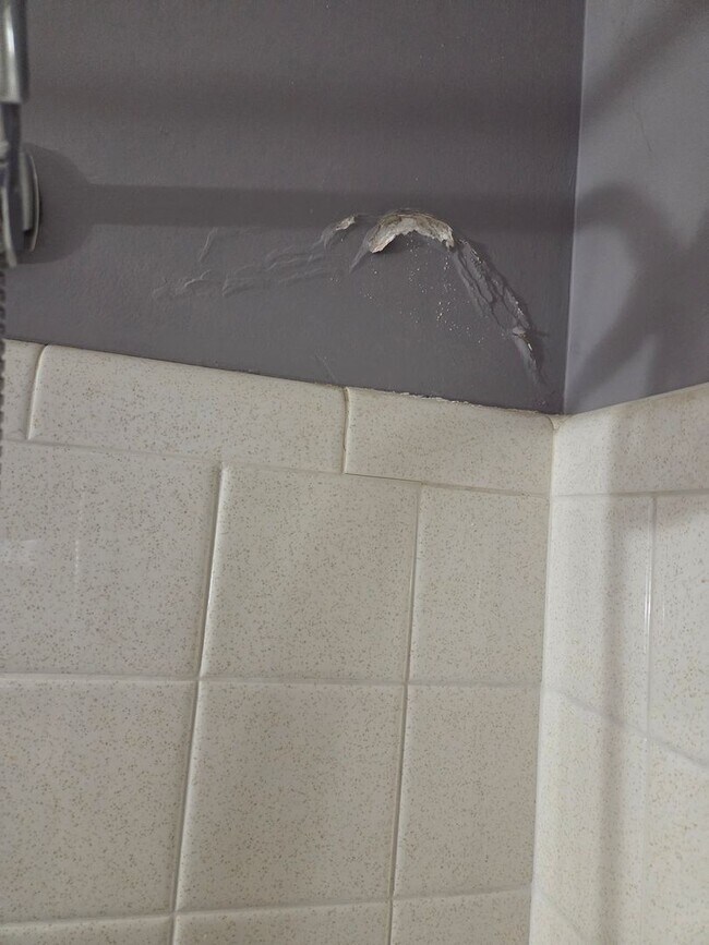 Building Photo - Country Setting, Sprawling Ranch