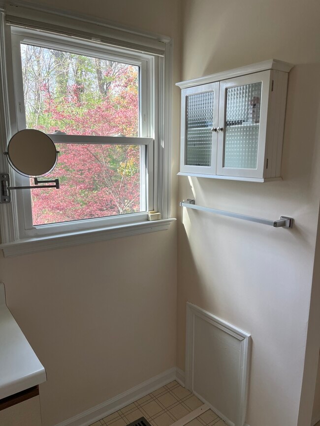 Master bathroom - 103 Birdwood Ct