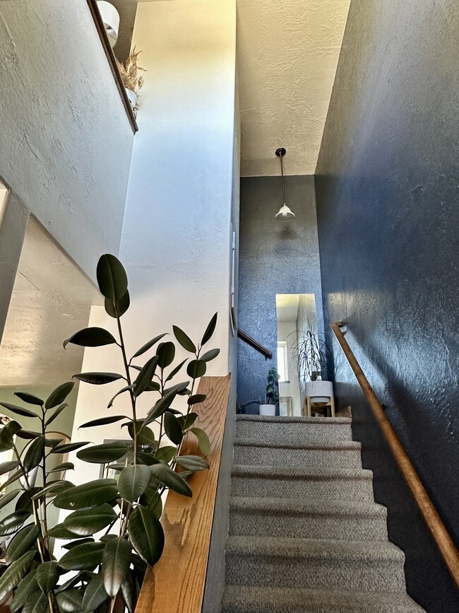 Building Photo - 284 Talisman Dr