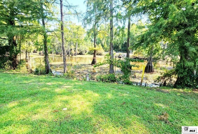 Building Photo - 923 Fortune Dr