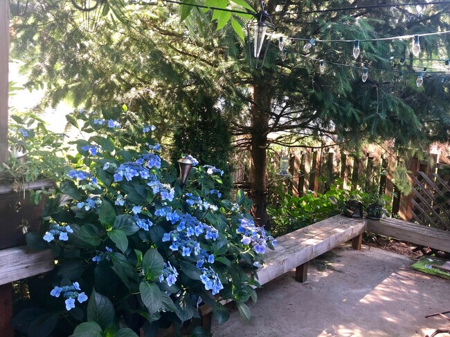 Building Photo - Duplex Off Barnes Rd. With Quick Access Ev...