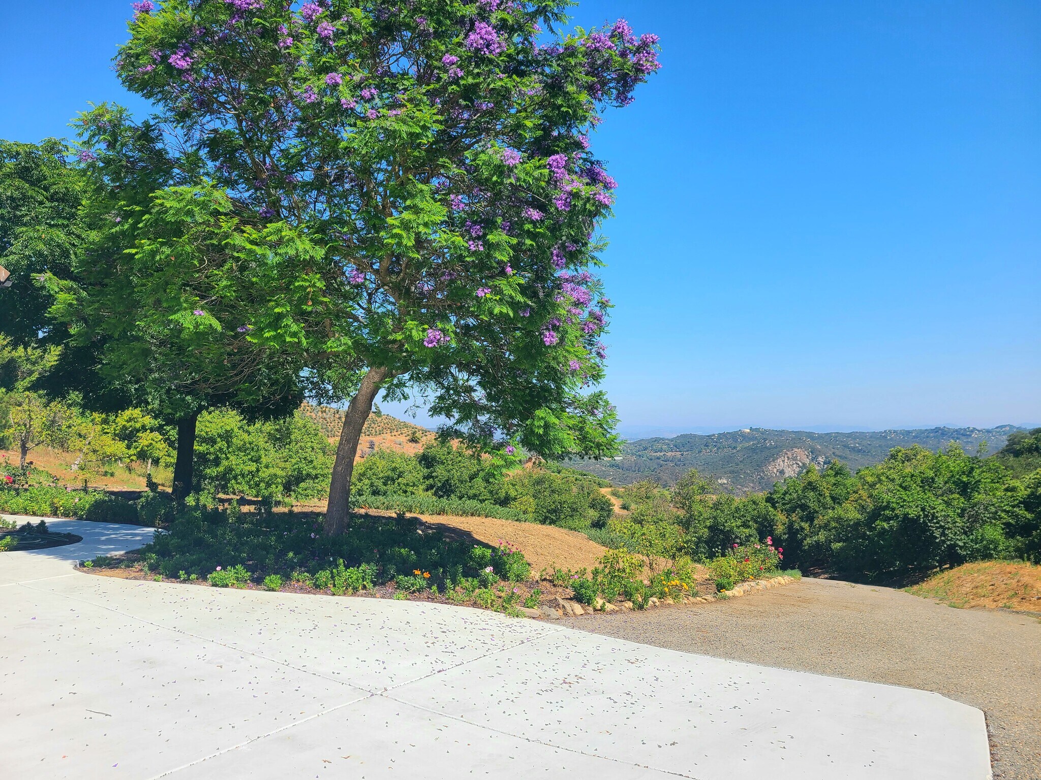 Building Photo - 43605 Los Gatos Rd