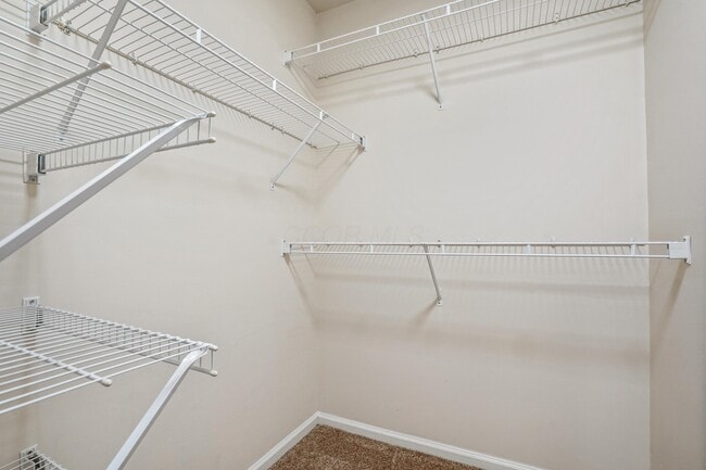 Building Photo - 5066 Stratford Pine Ln