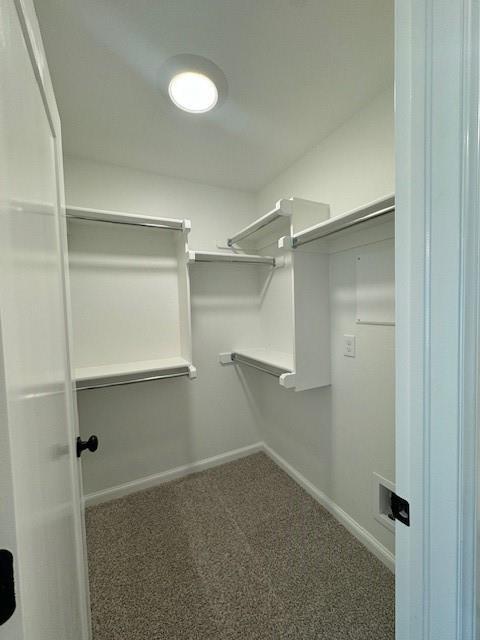 Building Photo - 3204 Gunnison River Dr