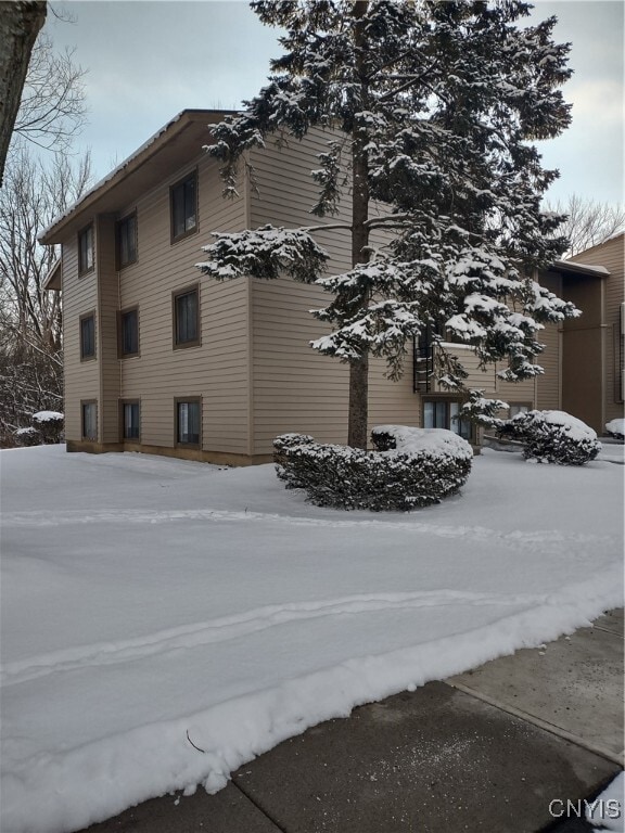 Building Photo - 153 Watertree Dr