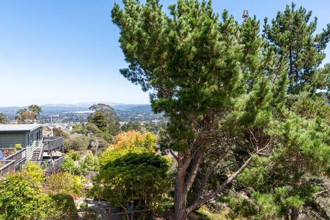 Building Photo - Hilltop Monterey Home