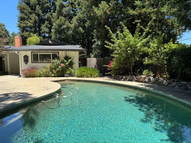 Building Photo - Gorgeous Single Level Home with Pool in Alamo Available Now!