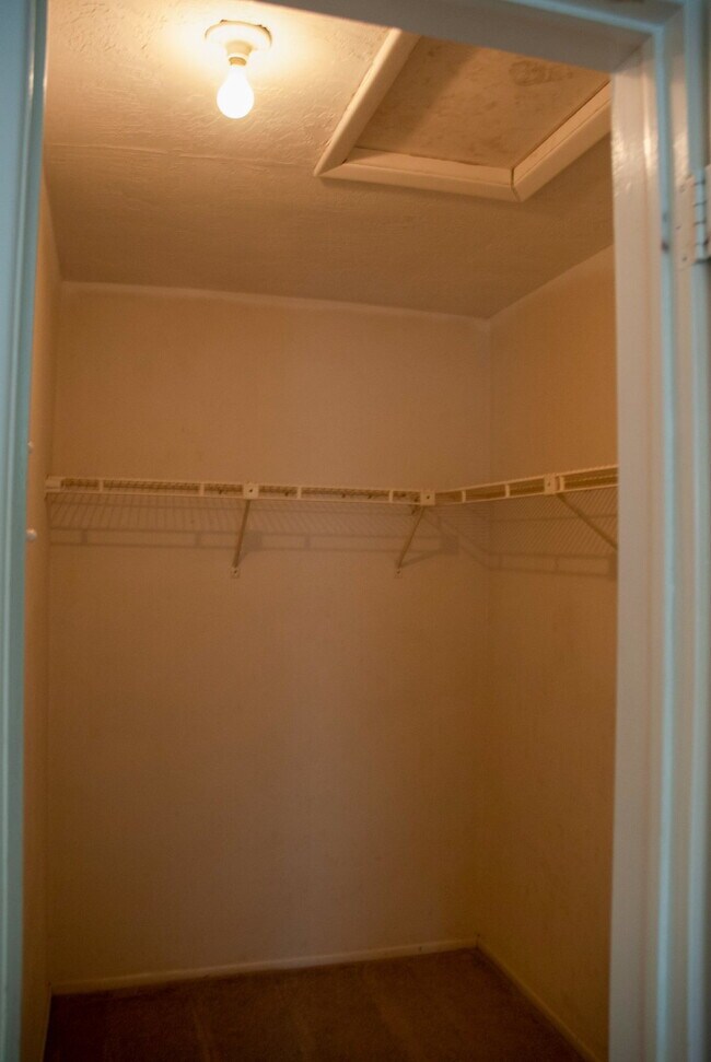 Building Photo - 3/Bedroom 3/Bath Tarpon Springs Home