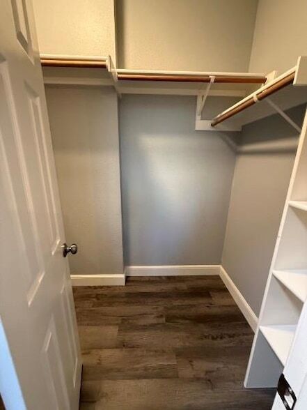 Building Photo - 20808 Jumpers Delight Ln