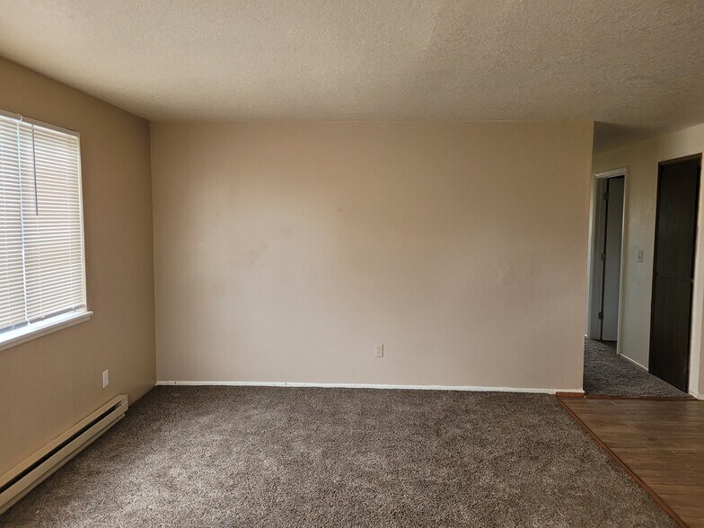 unit d large wall in living room - 1045 S Jasper St