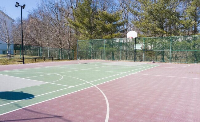 Basketball - 7347 Point Patience Way