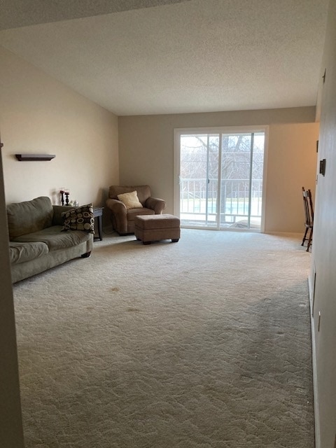 Living Room - 806 Huckleberry Heights Dr