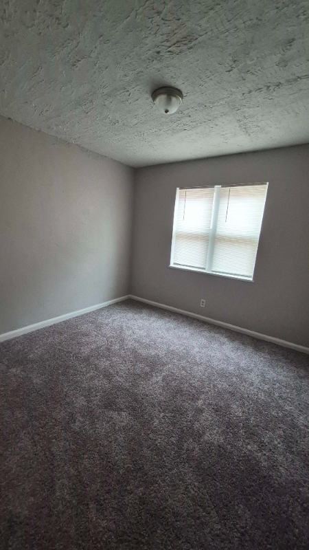 Building Photo - 152 Santa Clara Ave