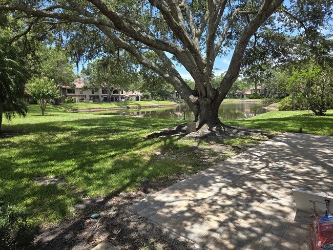 Building Photo - 3505 Tarpon Woods Blvd