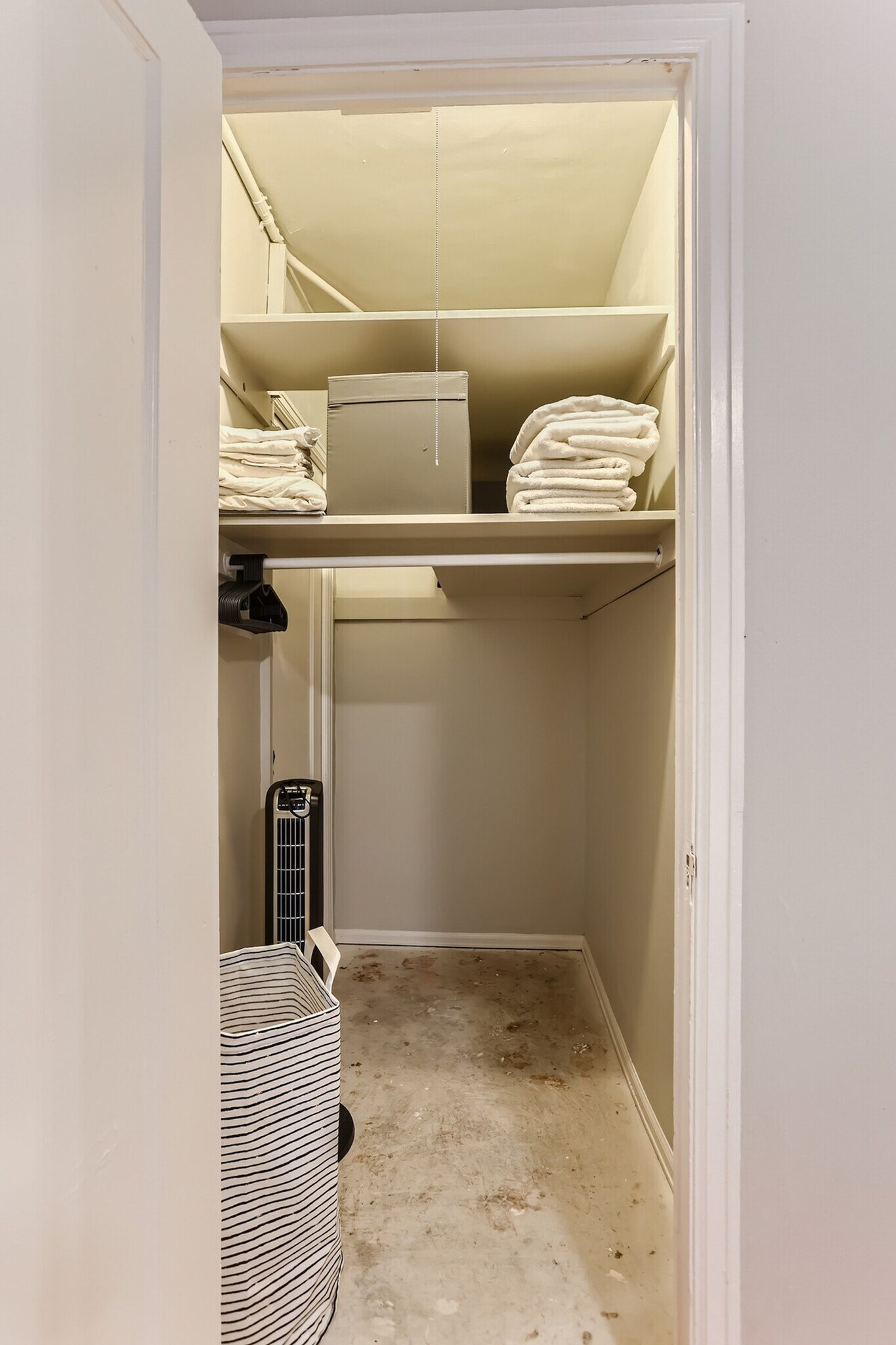 Building Photo - 1666 Detroit St