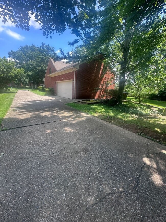 Building Photo - 1002 Juniper Springs Dr