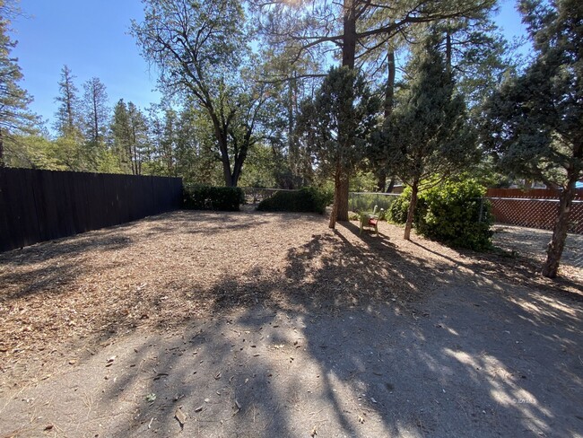 Building Photo - Remodeled unit in the center of town