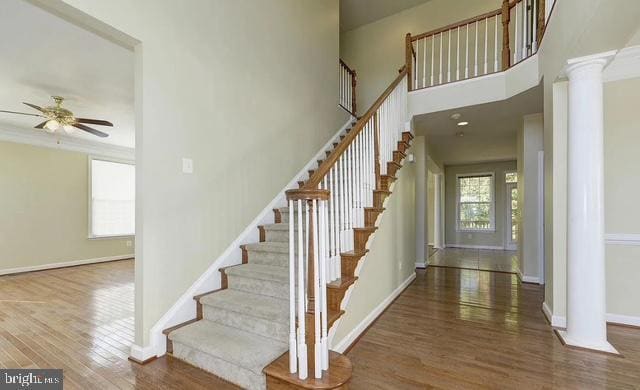 Building Photo - 4222 Talon Dr