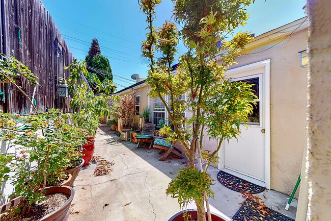 Building Photo - San Clemente Oasis